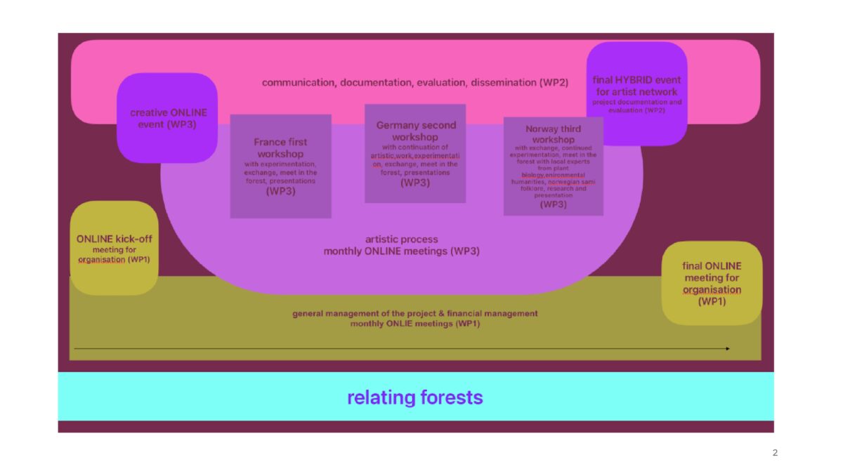 SCHEMA RELATING FORESTS