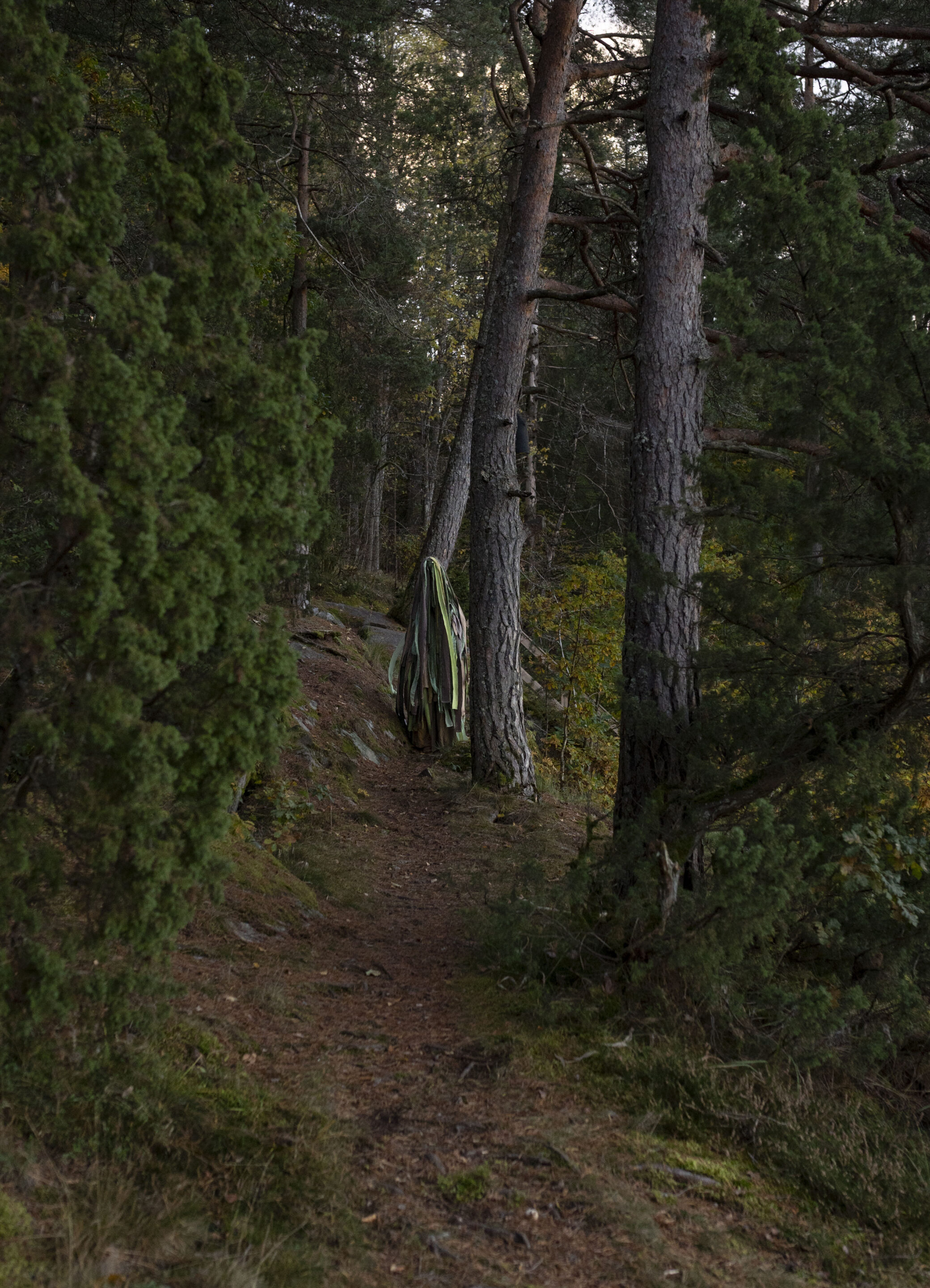 Photo Linnea Syversen