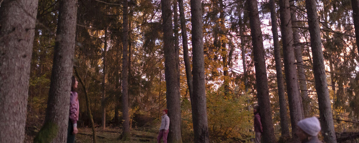 Photo Linnea Syversen