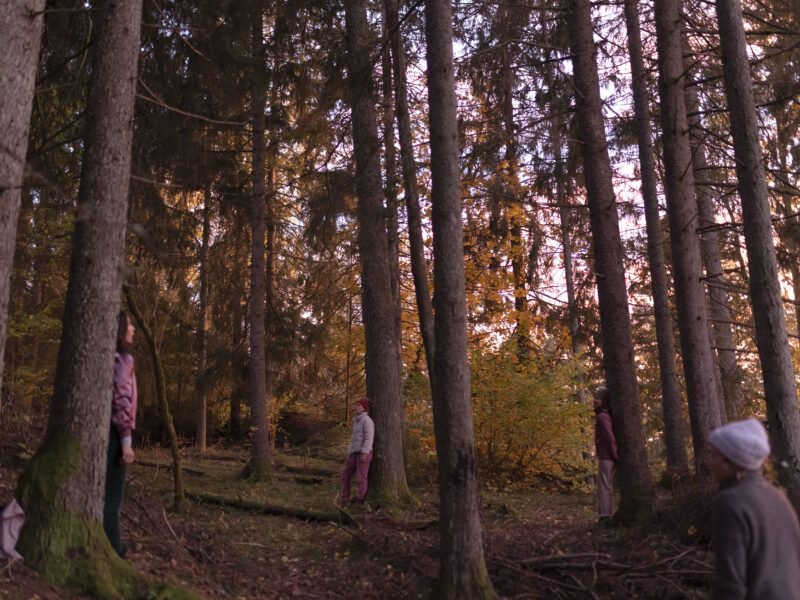 Photo Linnea Syversen